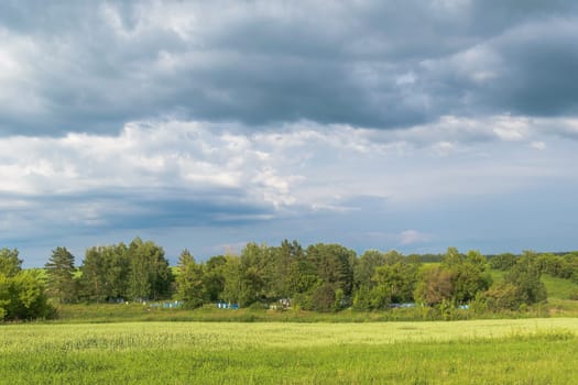 Old rural cemetery in the trees in the middle of grass meadows under the cloudy sky on a sunny summer day.