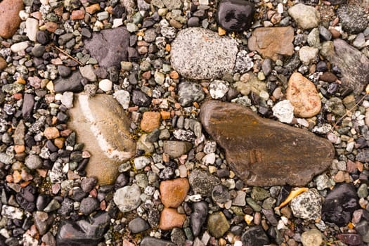 A wide variety of rocks make up the ground at river's edge in Alaska