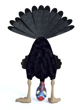 A funny silly looking cartoon turkey playing peekaboo. White background.