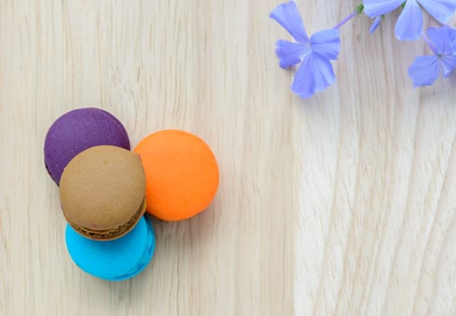 French pink macarons with blue flower on wooden background