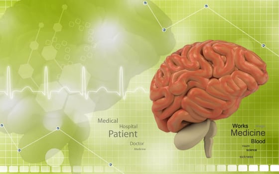 Digital illustration of brain in colour background