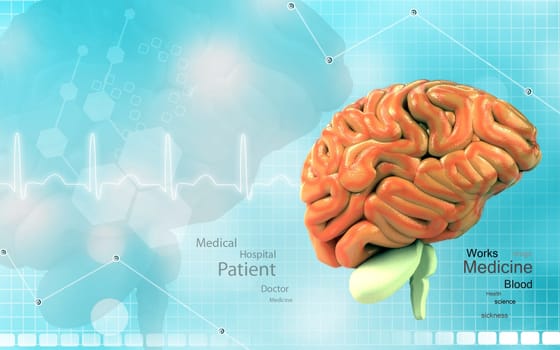 Digital illustration of brain in colour background