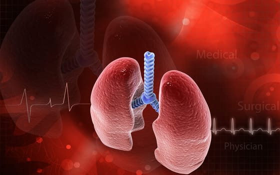 Digital illustration of human lungs in colour background