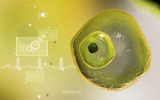 Digital illustration of ovum cell in colour background