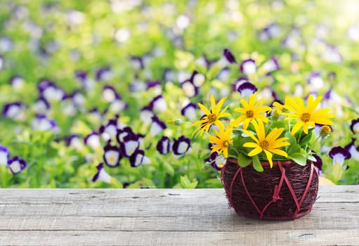 flower vase on wood table and space garden background