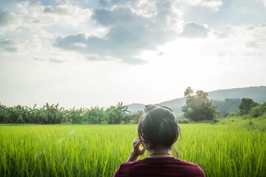 Asian woman enjoy green scenery of  rice field, stock photo