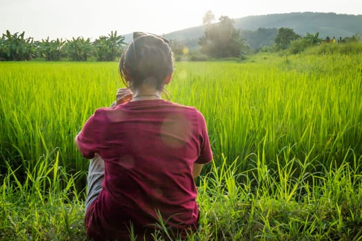 Asian woman enjoy green scenery of  rice field, stock photo