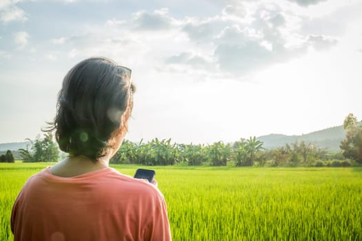 Asian woman serving mobile phone internet in front of  rice field, stock photo