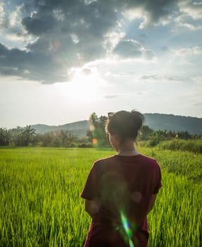 Asian woman enjoy green scenery of  rice field, stock photo