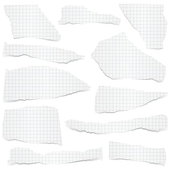 collection of white checkered scraps of papers with shadows