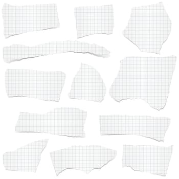 collection of white checkered scraps of papers with shadows