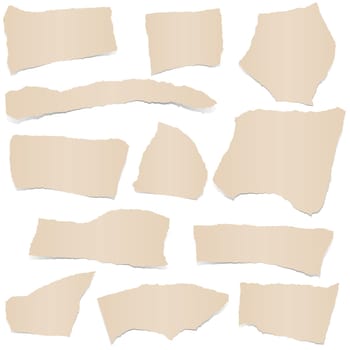 collection of brown colored scraps of papers with shadows