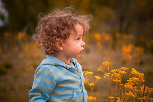 1 year old baby boy walking through the countryside.