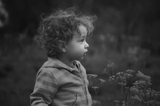 1 year old baby boy walking through the countryside.