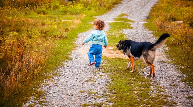 1 year old baby boy walking through the countryside.