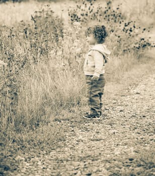 1 year old baby boy walking through the countryside.