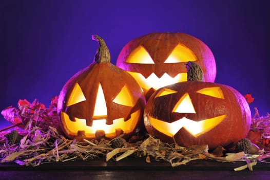 Three purple illuminated Halloween pumpkins with straw on old weathered wooden boards against a purple background