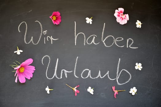 Chalkboard Background Holiday