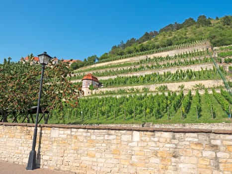 Landscape in the wine-growing region Saale-Unstrut