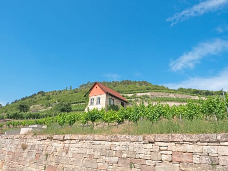 Landscape in the wine-growing region Saale-Unstrut