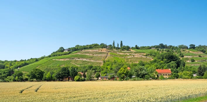 Landscape in the wine-growing region Saale-Unstrut