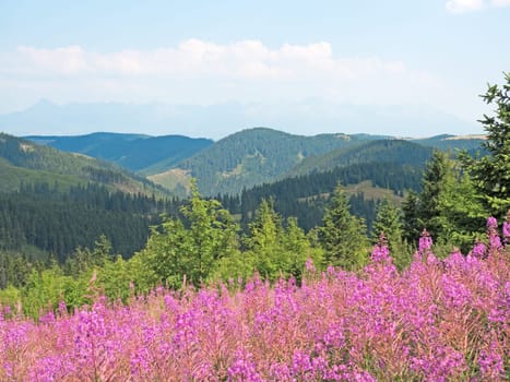 Landscape in the Low Tatras