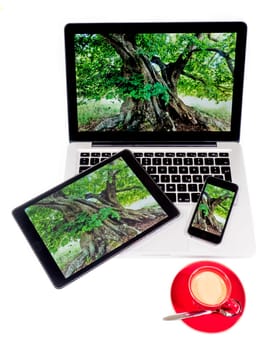 mobile computers with identical desktop background