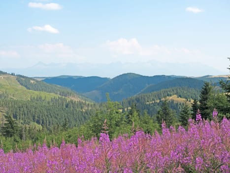 Landscape in the Low Tatras