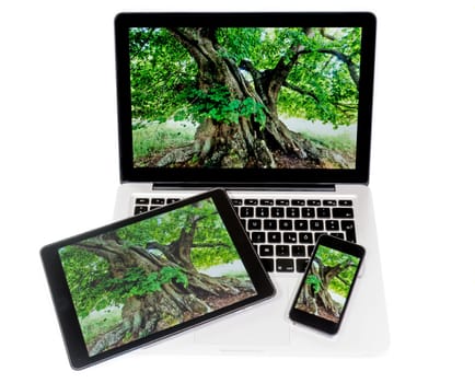 mobile computers with identical desktop background
