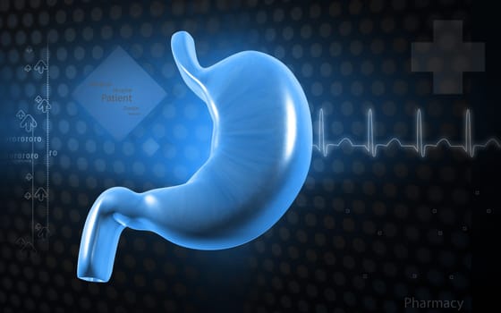 Digital illustration of stomach in colour background