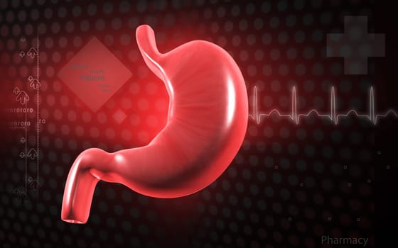 Digital illustration of stomach in colour background