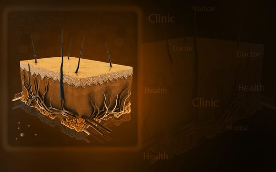 Digital illustration of Skin in colour background