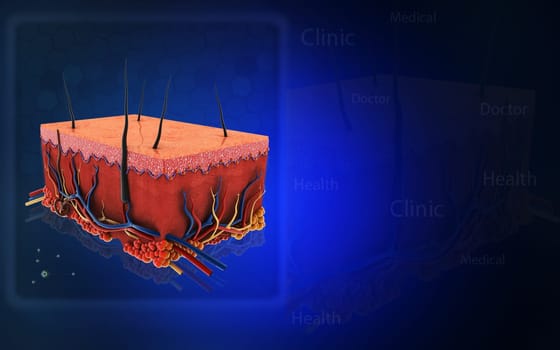 Digital illustration of Skin in colour background