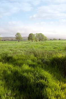 green lush farmland fields and countryside of county Kerry Ireland