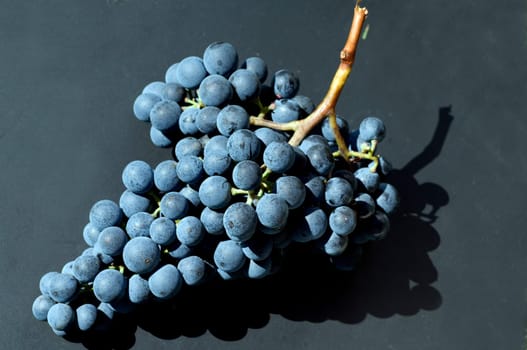 Dornfelder, Rotwein, Rote, Weintrauben