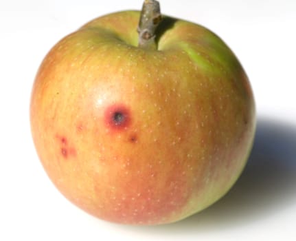 Boskoop, Hagelschlag