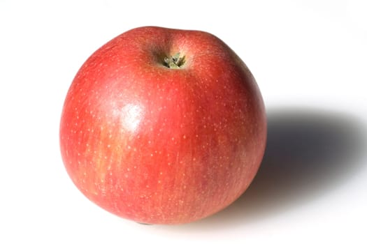 Elstar,Apple,Malus,domestica