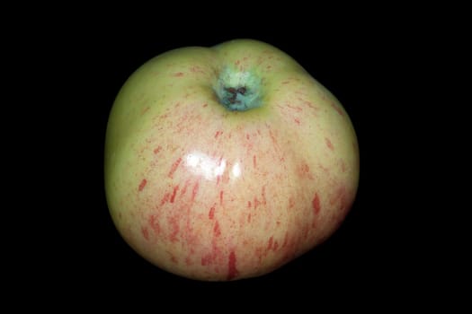 Gravensteiner, Apfel, Malus, domestica