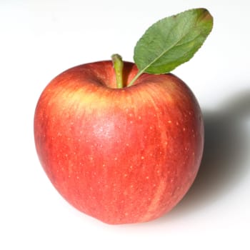 Elstar, Apfel, Malus, domestica
