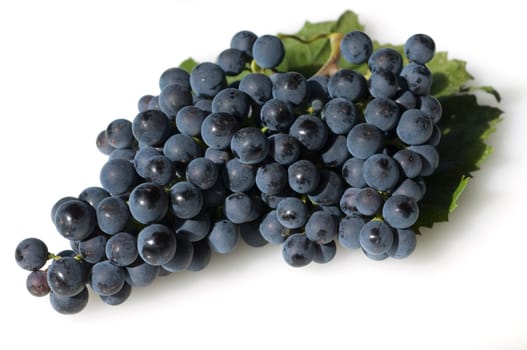 Dornfelder, Rotwein, Rote, Weintrauben