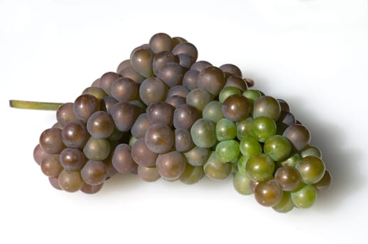 Grauburgunder, Pinot, gris, grigio, Rulaender