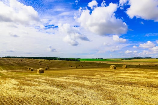 Round Straw Bales in a Stubble Field at end of Summer at Day with Clouds after Harvest