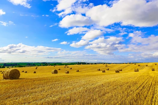 Yellow Straw Bales in a Stubble Field at end of Summer at Day with Blue Sky and Clouds after Harvest