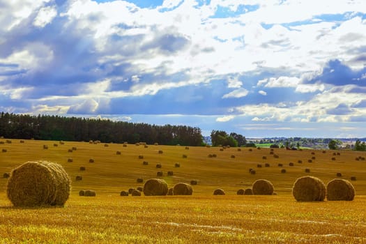 Yellow Straw Bales in a  Field at end of Summer at Day with Blue Sky, Clouds after Harvest