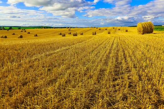Yellow Straw Bales in a  Field at end of Summer at Day with Clouds and Blue Sky after Harvest