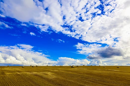 Yellow Straw Bales in a Stubble Field at end of Summer at Day with Clouds after Harvest