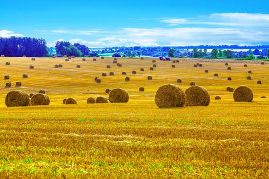 Yellow Straw Bales in a Stubble Field at end of Summer at Day with Blue Sky after Harvest
