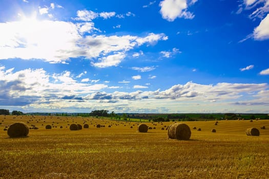 Yellow Straw Bales in a Stubble Field at end of Summer at Day with Clouds, Blue Sky after Harvest