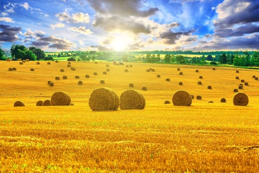 Yellow and Round Straw Bales in a  Field at end of Summer at Sunrise or sunset with Clouds after Harvest