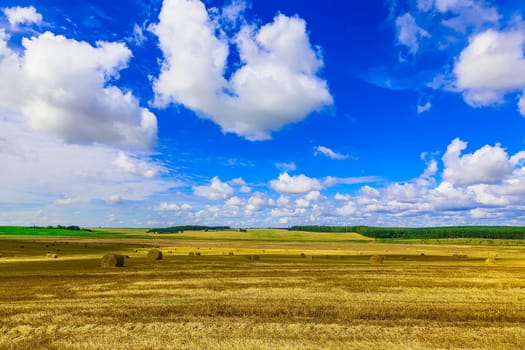 Round Straw Bales in a  Field at end of Summer at Day with Clouds after Harvest